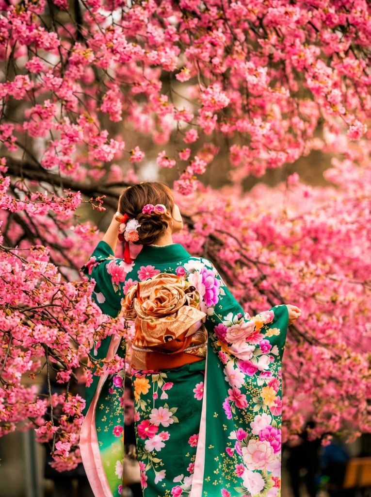 観光パックサービス